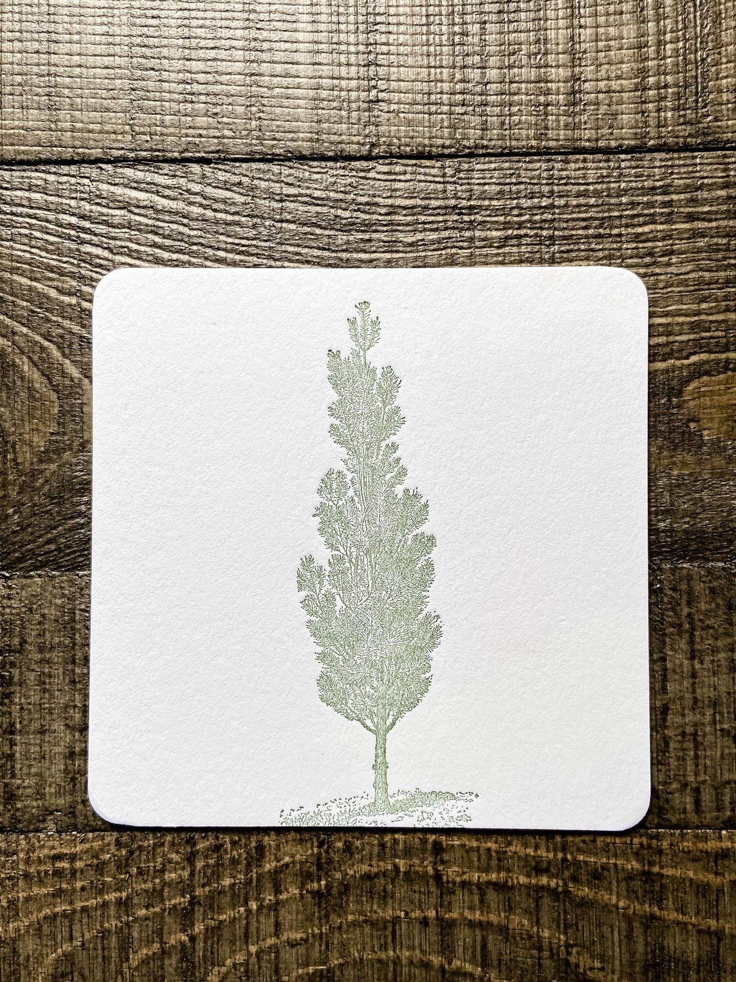 Flowers and Trees Letterpress Coasters-- set of 4 - Salt and Branch